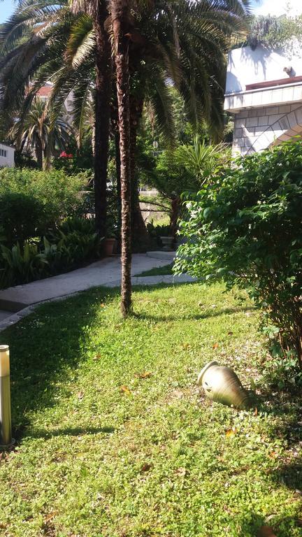 Apartman Taraca Villa Knezevic تْشيرسيك نوفي المظهر الخارجي الصورة